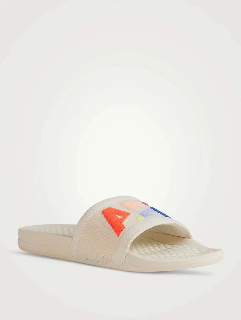 TechLoom Big Logo Slides