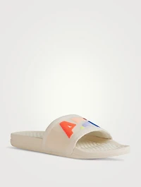 TechLoom Big Logo Slides