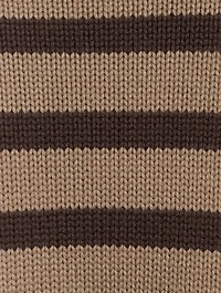 Signature Stripe Turtleneck
