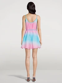 Babette Ombré Mini Dress
