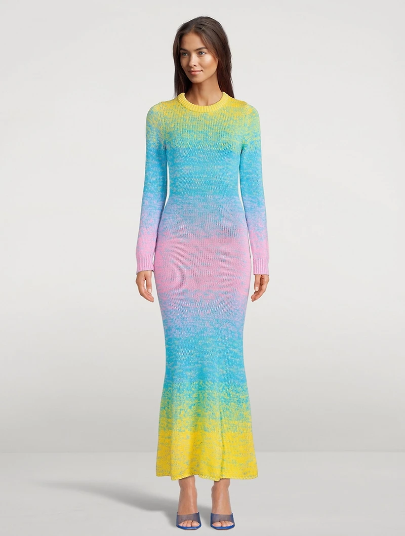 Rowen Ombré Crochet Maxi Dress