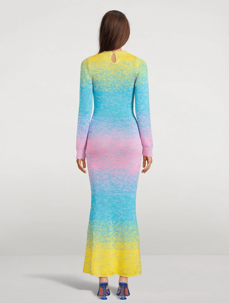 Rowen Ombré Crochet Maxi Dress