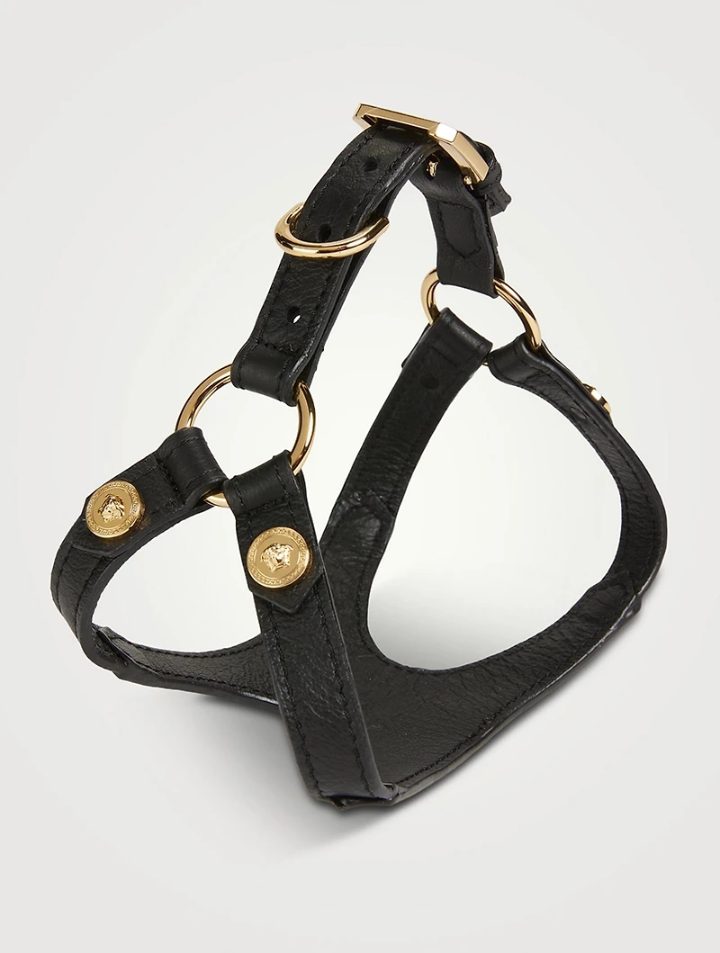 Medusa Studs Pet Harness
