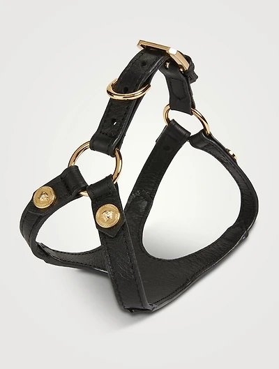Medusa Studs Pet Harness