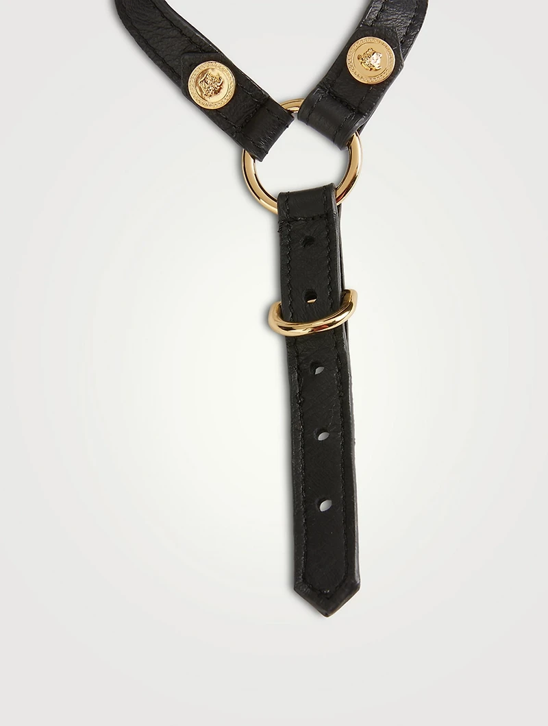 Medusa Studs Pet Harness