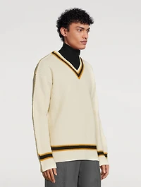 Alpaca And Wool V-Neck Sweater