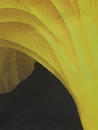 Mushroom Pleated Midi Skirt