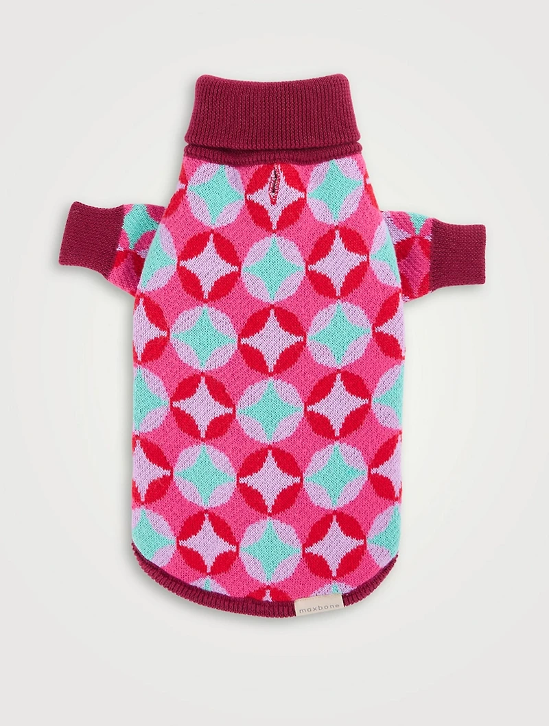 Holiday 2022 Dog Sweater