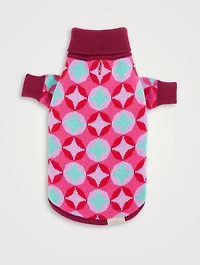 Holiday 2022 Dog Sweater