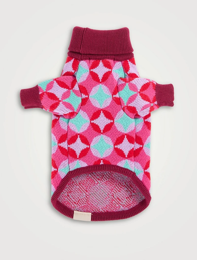 Holiday 2022 Dog Sweater