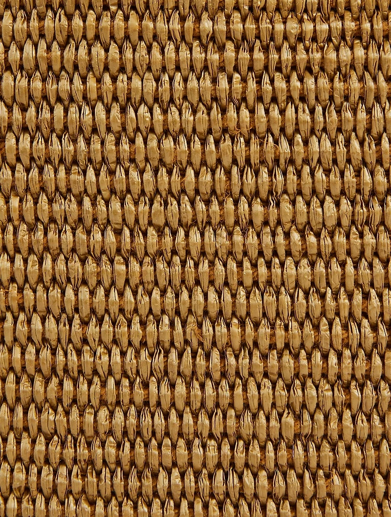 Small Bey Raffia Shoulder Bag
