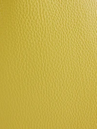Stella Logo Crossbody Tote Bag