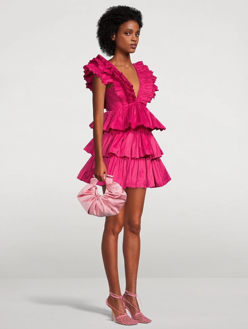 Rhythmic Ruffled Mini Dress