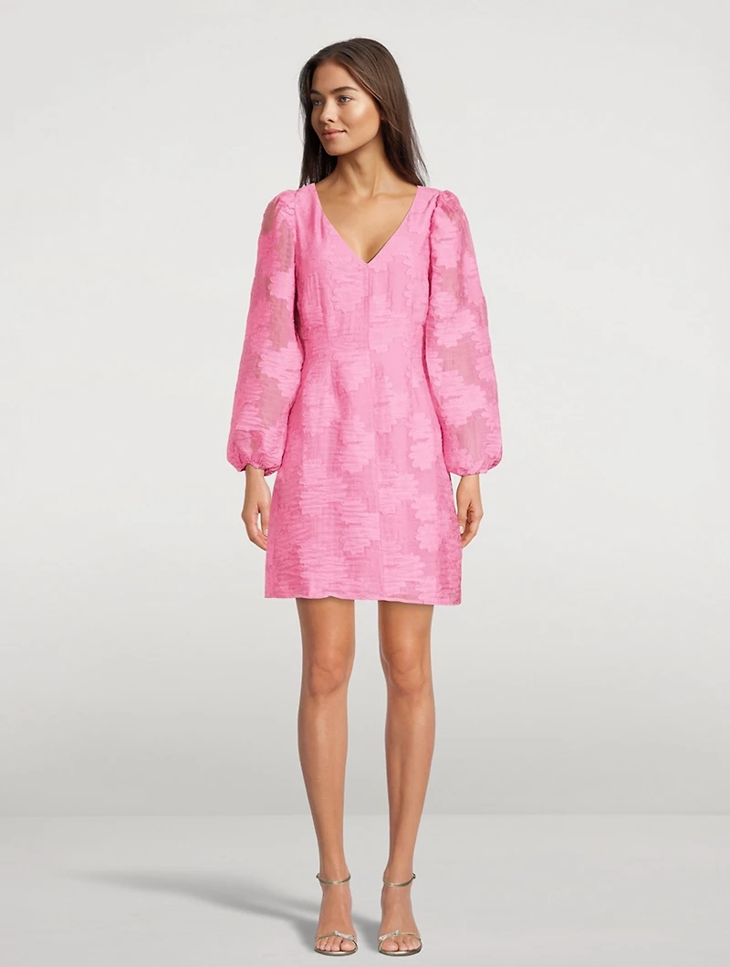 Anai Devoré Mini Dress