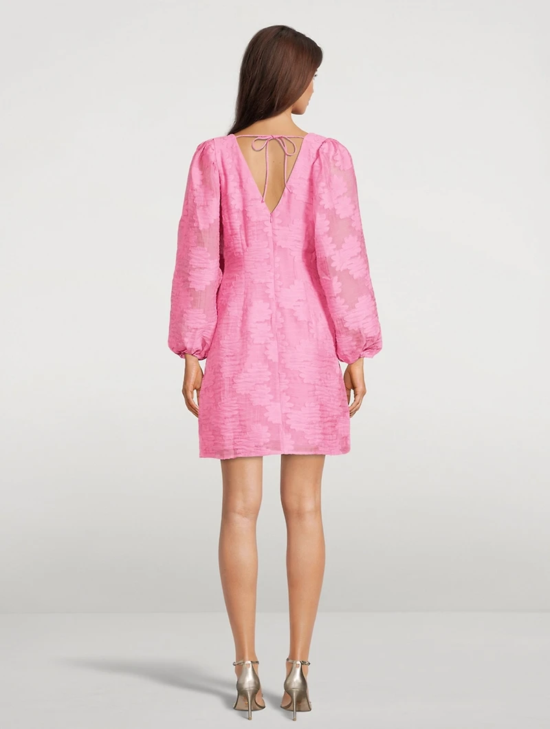 Anai Devoré Mini Dress