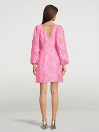 Anai Devoré Mini Dress