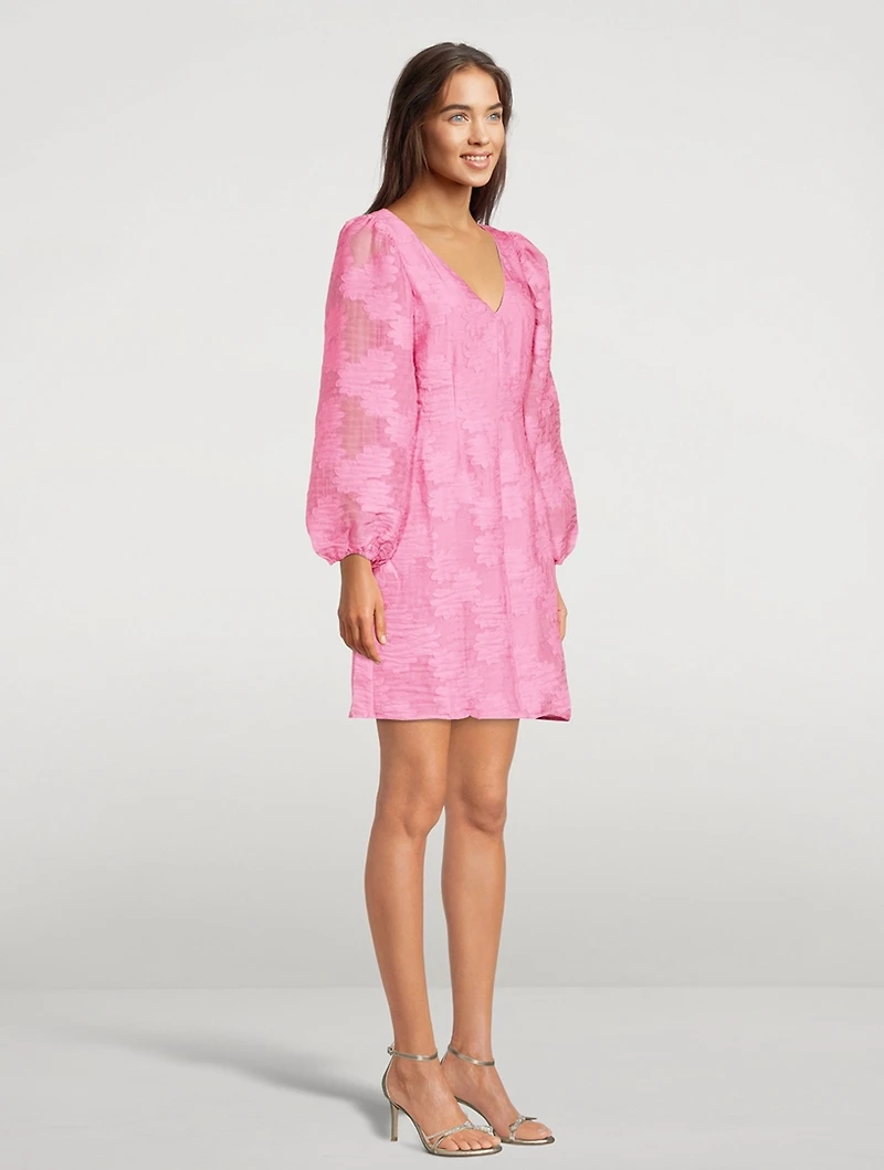 Anai Devoré Mini Dress