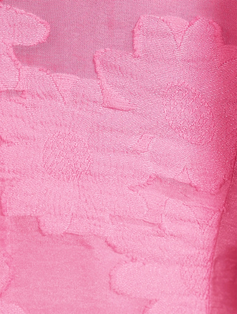 Anai Devoré Mini Dress