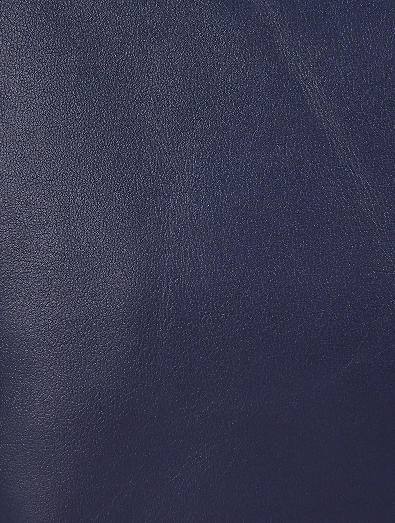 Small Le Pliage Xtra Leather Top Handle Bag