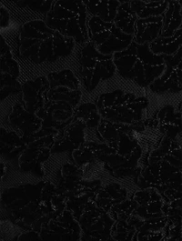 The Night Sparrow Lace Gown