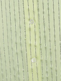 Crystal Pinstripe Silk Charmeuse Shirt Dress