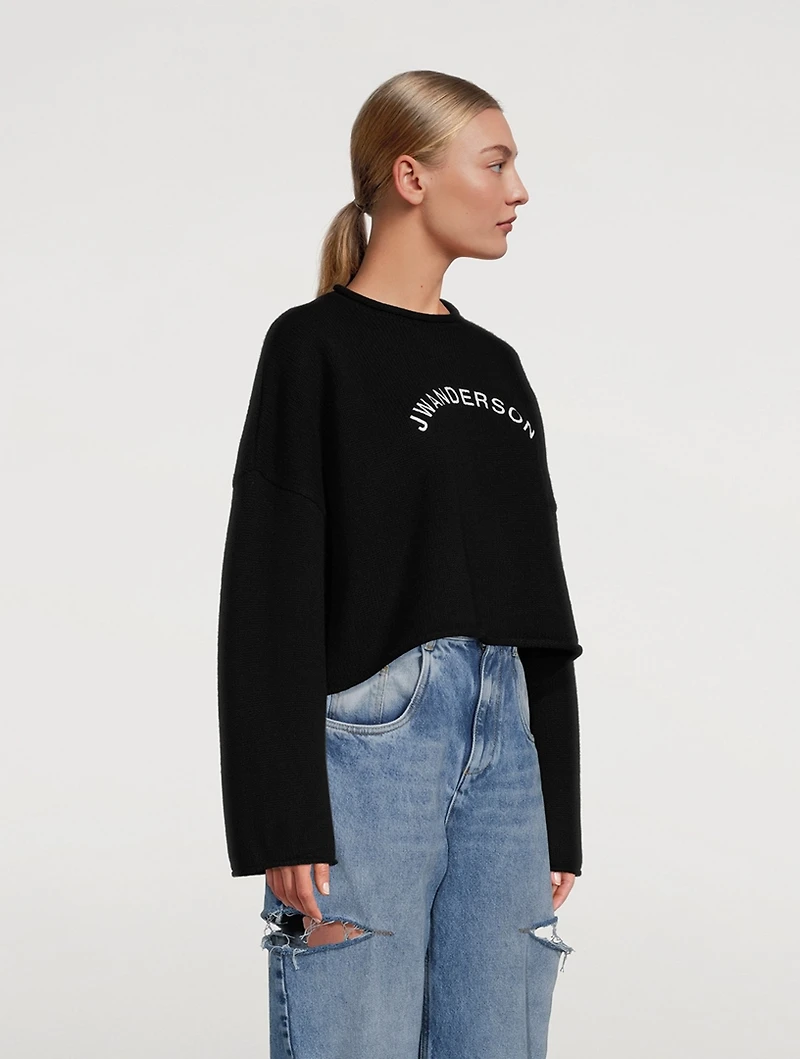 Wool And Cashmere Cropped Sweatshirt