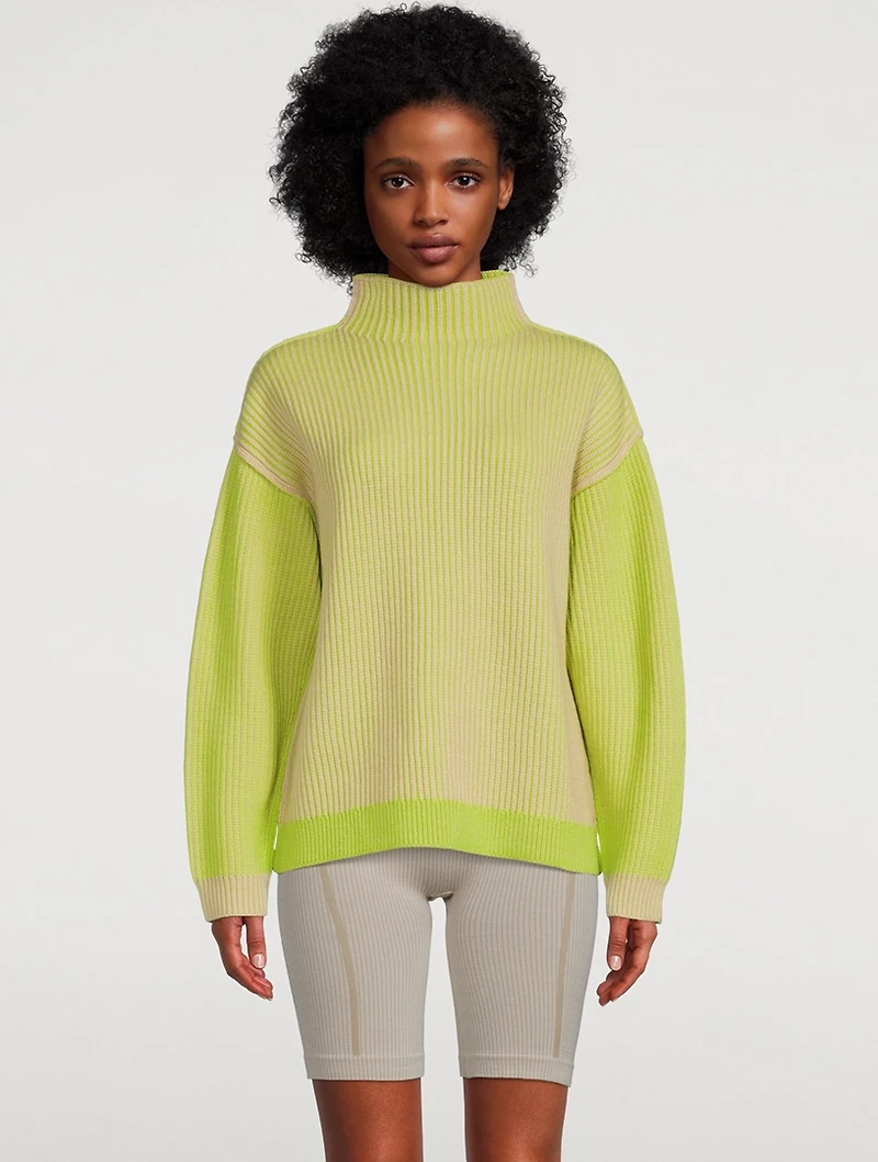 Hinterland Turtleneck Sweater