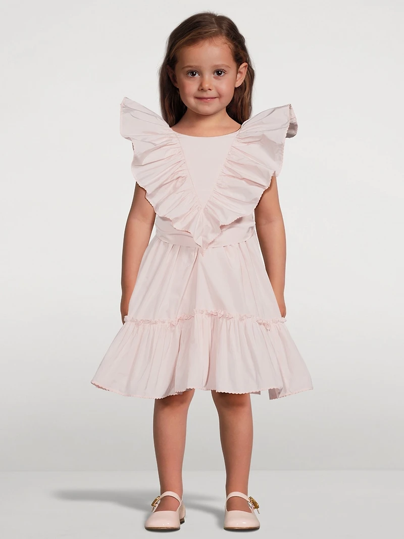 Taffeta Sleeveless Dress