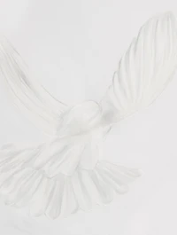 Singing Doves Bomber Jacket
