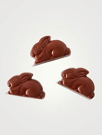 Matchbox Bunnies