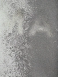Layered Long-Sleeve T-Shirt With Spray Logo