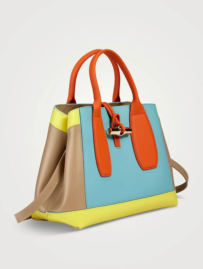 Medium Roseau Sunset Leather Top Handle Bag