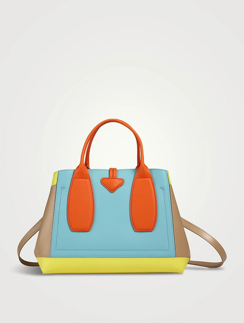Medium Roseau Sunset Leather Top Handle Bag