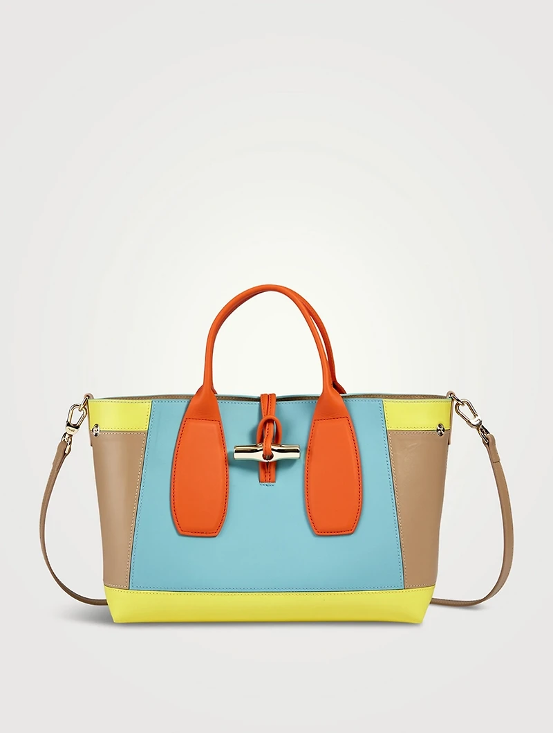 Medium Roseau Sunset Leather Top Handle Bag