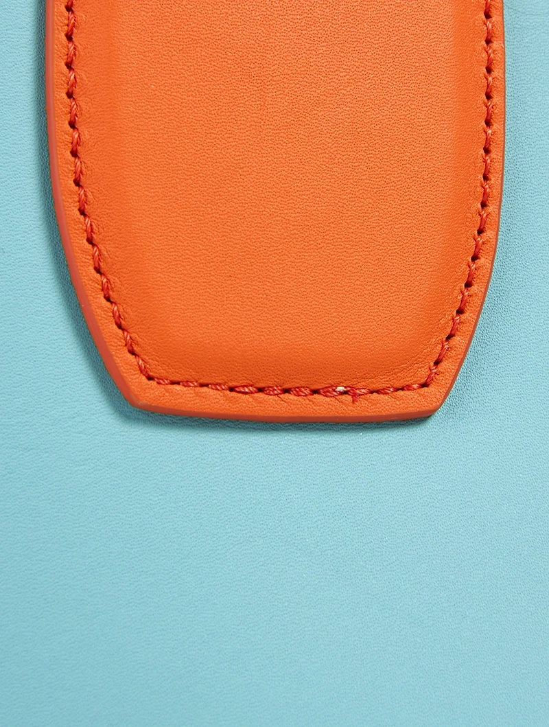 Medium Roseau Sunset Leather Top Handle Bag