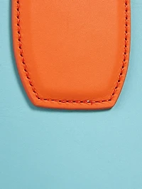 Medium Roseau Sunset Leather Top Handle Bag