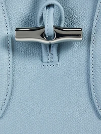 Medium Roseau Leather Top Handle Bag