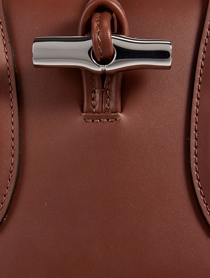Roseau Box Leather Top Handle Bag
