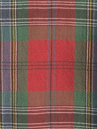 GANT x Wrangler Plaid Western Shirt