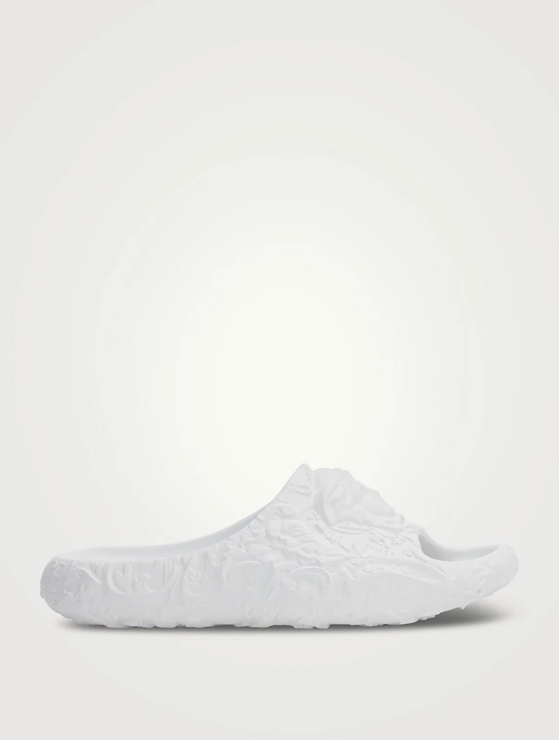 Medusa Dimension Slides