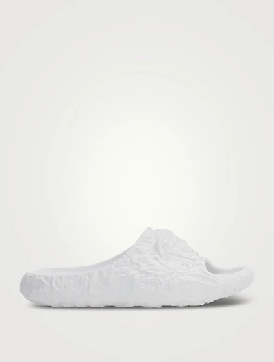 Medusa Dimension Slides