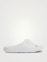 Medusa Dimension Slides