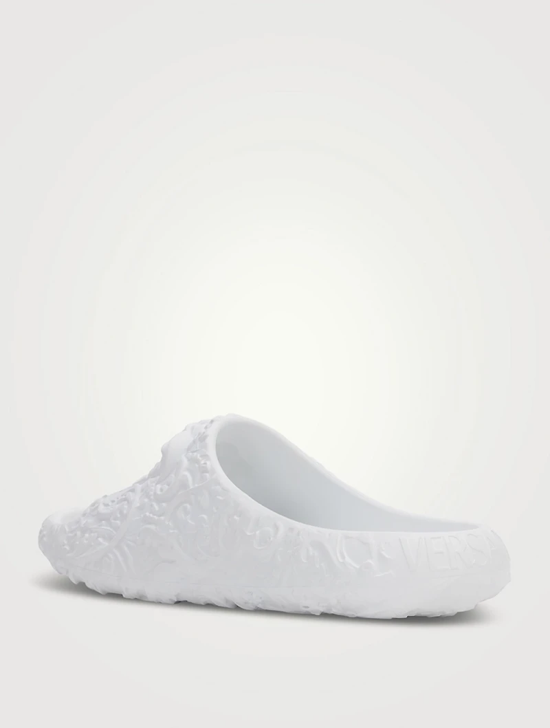 Medusa Dimension Slides