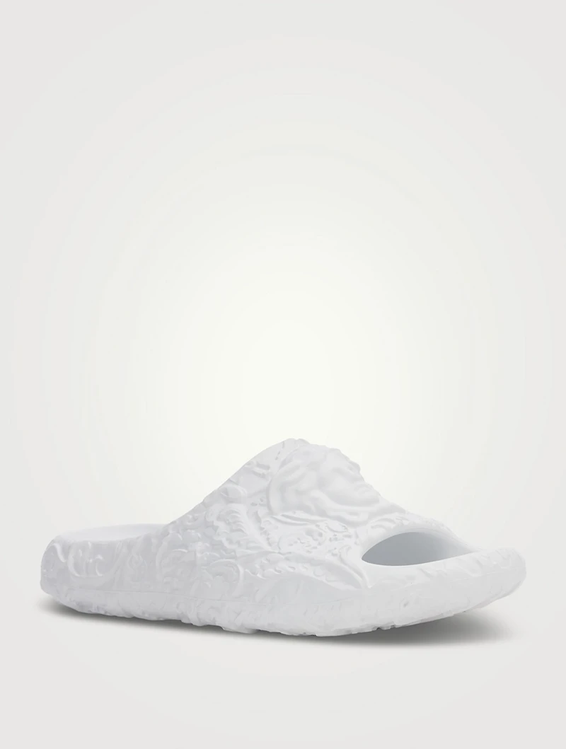 Medusa Dimension Slides