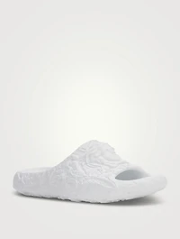 Medusa Dimension Slides