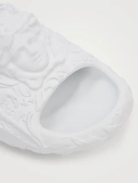 Medusa Dimension Slides