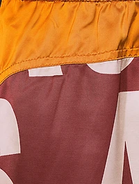 Parcher Satin Printed Shorts
