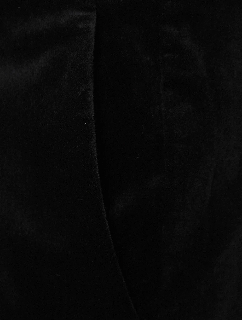Demitria Velvet Pants