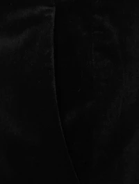 Demitria Velvet Pants
