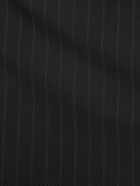 Mini Skirt Pinstripe Print